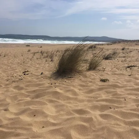 شقة Panorama Bay سوزوبول