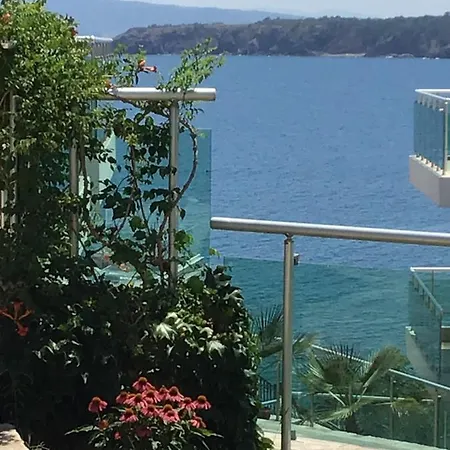 Panorama Bay *